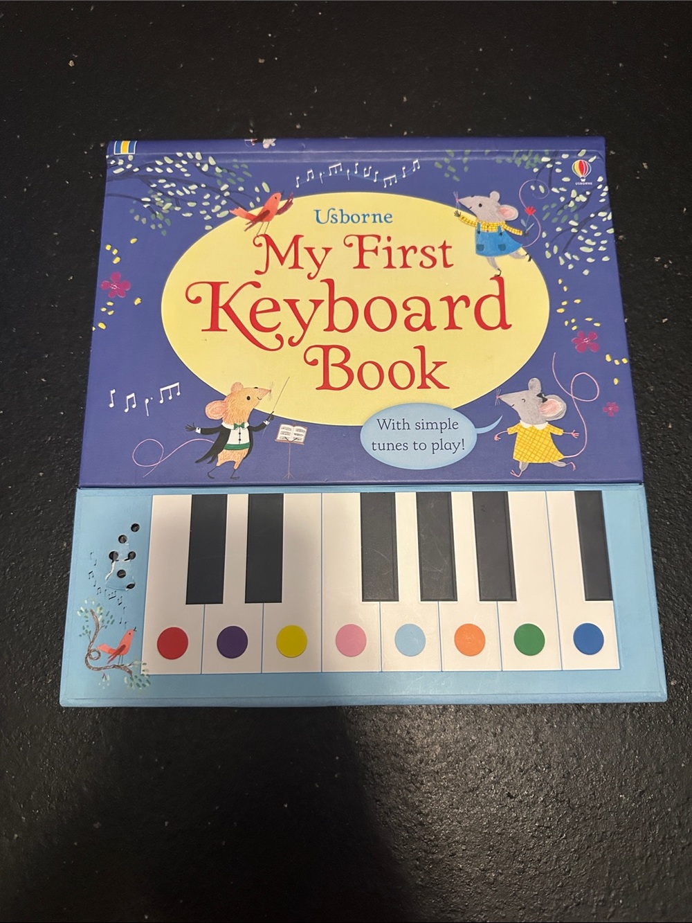 Usborne My First Keyboard Book - Blue Interactive Musical Book for Kids